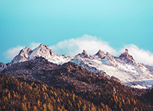 九游体育：用热爱点亮赛场的全新娱乐体验